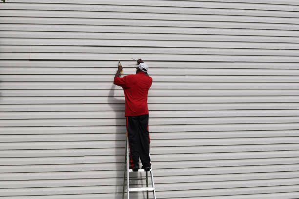 Best Siding Painting and Refinishing  in Follansbee, WV