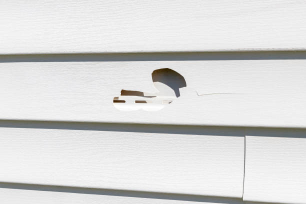 Best Custom Trim and Detailing for Siding  in Follansbee, WV