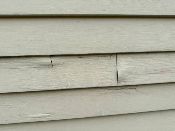 Best Steel Siding Installation  in Follansbee, WV